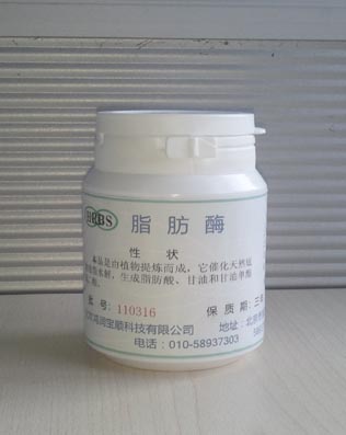 供应脂肪酶