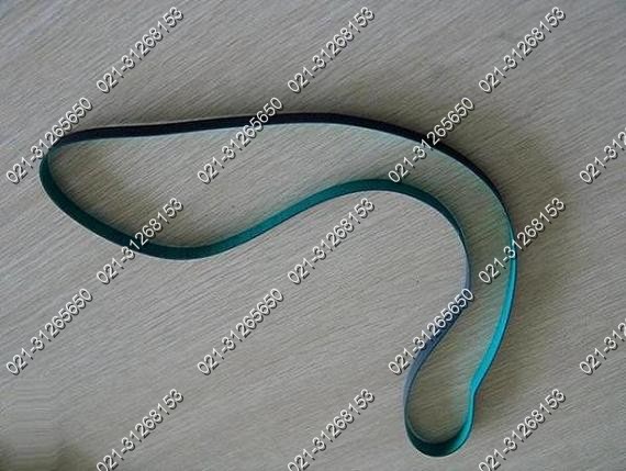 西格林弹性皮带