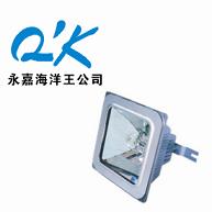 NFE9100防眩应急棚顶灯海洋王顶灯海洋王