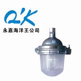 NFE9112防眩应急灯海洋王顶灯海洋王防眩顶灯