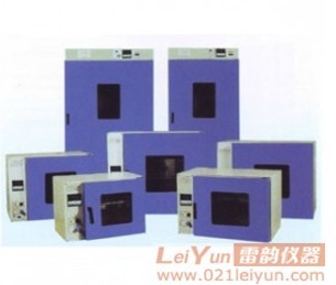 优质、特价DHG-9030A电热鼓风干燥箱,雷韵鼓风干燥箱