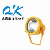 BTC8200防爆投光灯BTC8200A